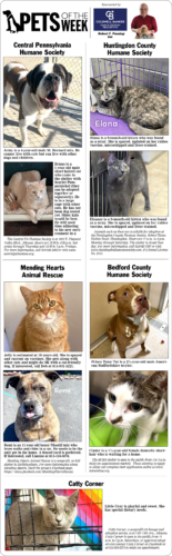 Pets of the Week May 9-10, 2026
